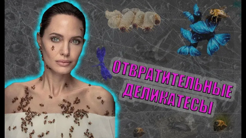 Как узнать самые интересные факты о самой отвратительной еде в мире